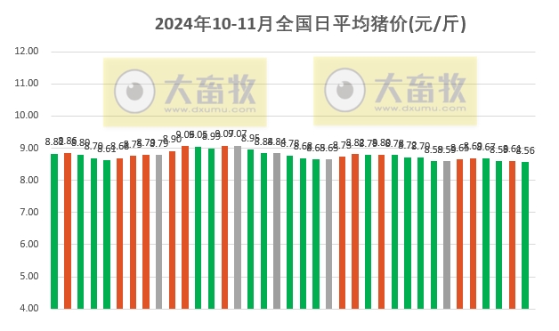 灵宝猪价最新动态