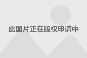 东风日产劲客最新动态深度解析