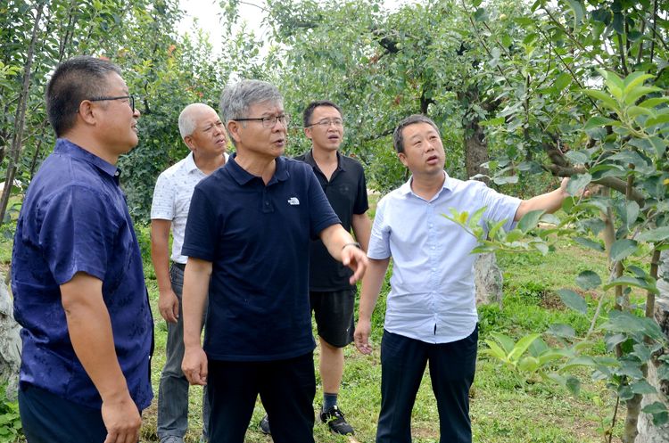 果树示范场新领导引领未来，共筑辉煌成就