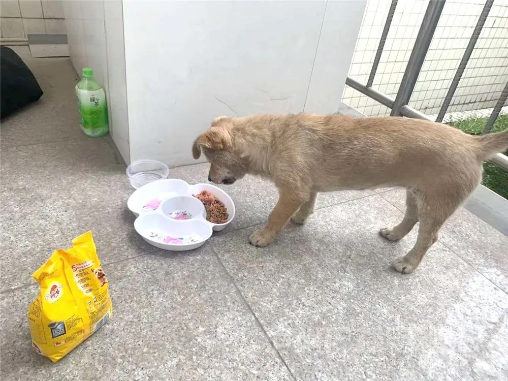 泸州市首府住房改革委员会办公室新项目推动城市住房改革，助力民生福祉增进