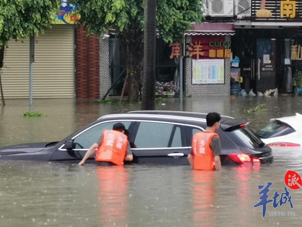 三角乡最新天气预报概览