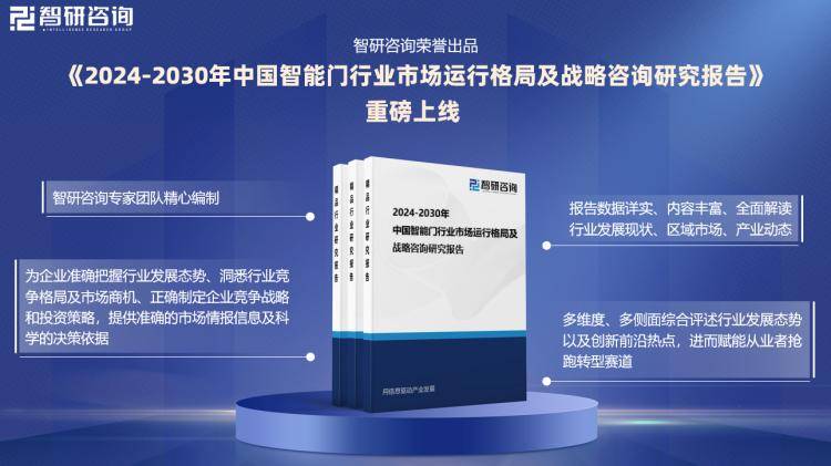 2024新奥精准正版资料,深层策略数据执行_Z88.830