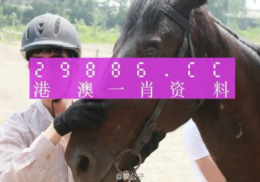 今晚澳门最准一肖一码,实证数据解释定义_冒险款67.262