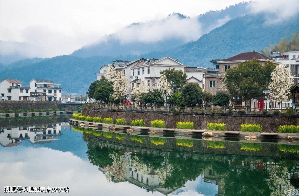 沙恩村繁荣景象，最新新闻揭示发展蓝图与未来展望