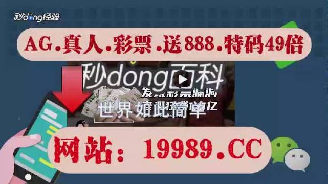 新澳门六开奖结果2024开奖记录查询网站,精细解答解释定义_升级版19.79