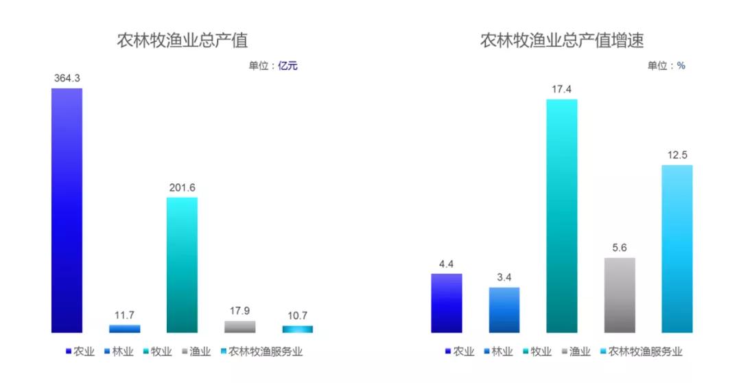 南充市林业局绿色生态建设项目的未来展望