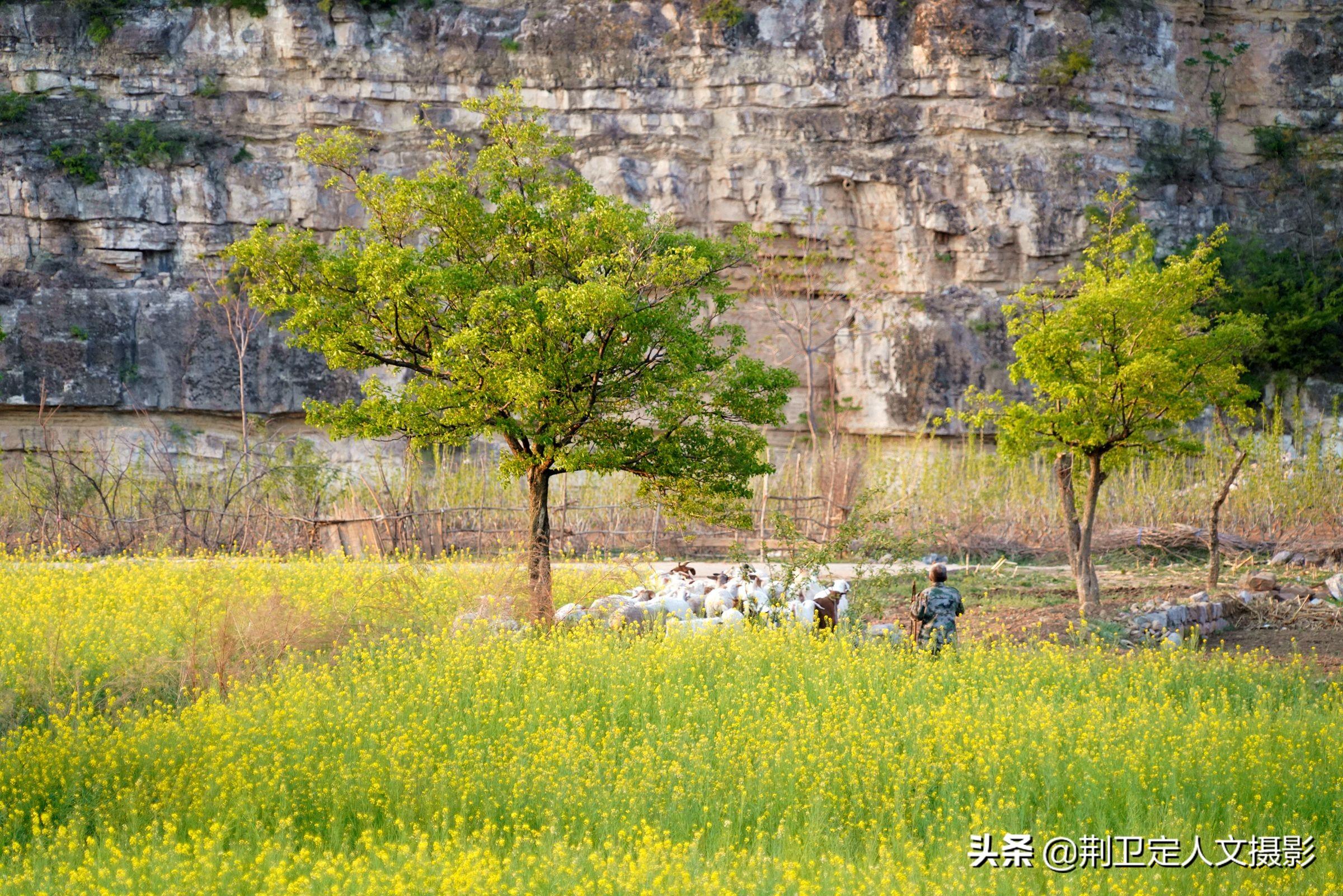 乡村振兴新篇章，山西省沁水县土沃乡最新项目引领发展之路