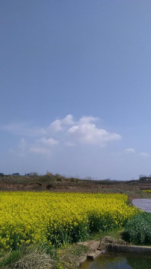 韩集镇天气预报更新通知