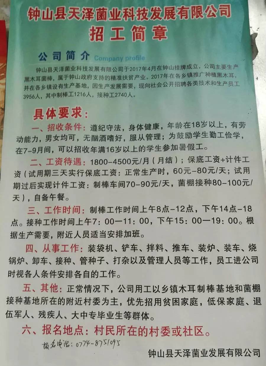 青屏村最新招聘信息全面解析