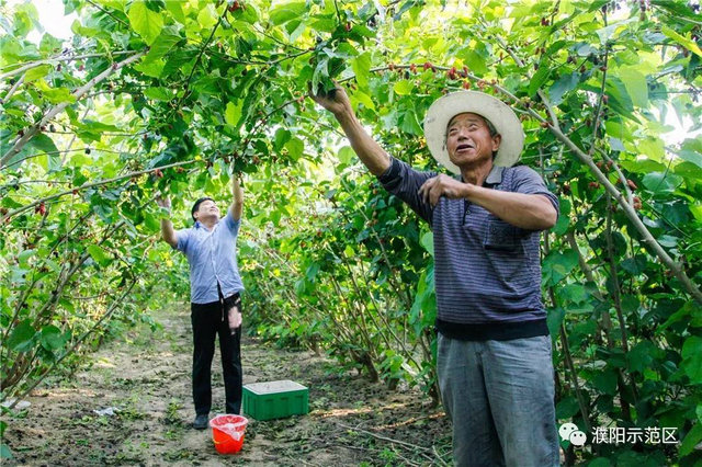 奶桑村新项目的乡村振兴新篇章启动