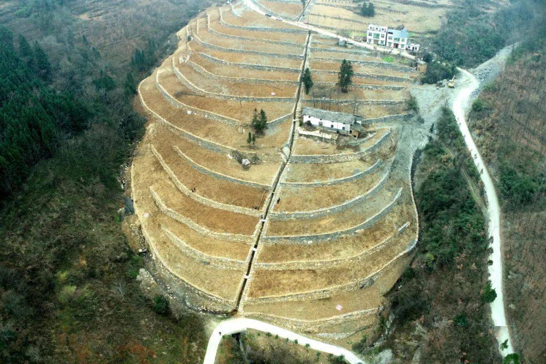 茅坪镇未来繁荣蓝图，最新发展规划揭秘