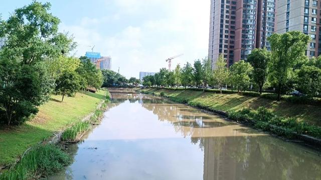 洸河街道天气预报更新通知