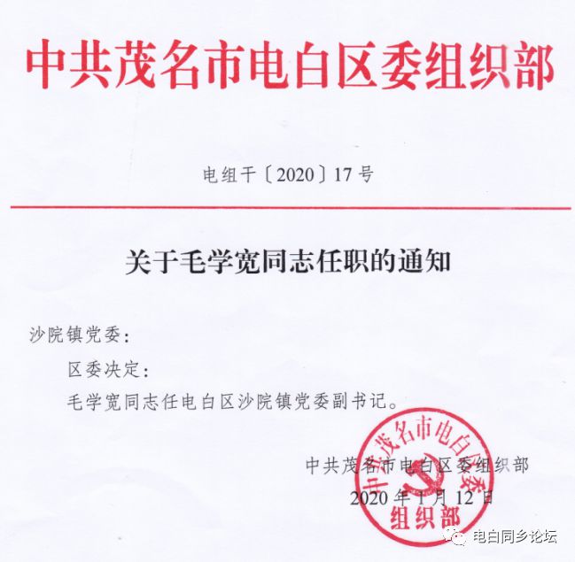 申藏村委会人事任命完成，重塑乡村治理格局助力乡村振兴发展