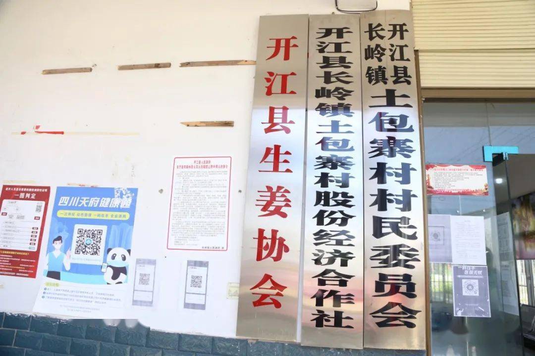 蓝山县卫生健康局发展规划，构建健康蓝山，增强民生福祉