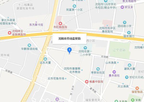 沈阳市劳动和社会保障局最新发展规划概览