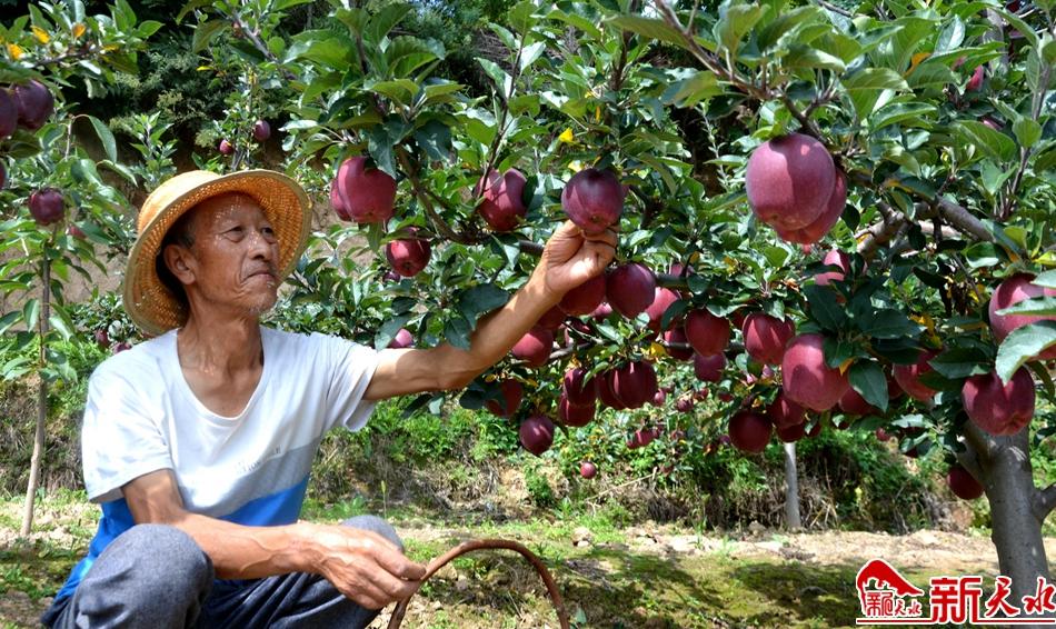 小庄村民委员会最新交通新闻