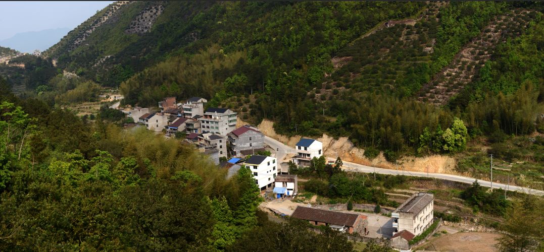 玉地河村委会最新项目，重塑乡村，走向繁荣