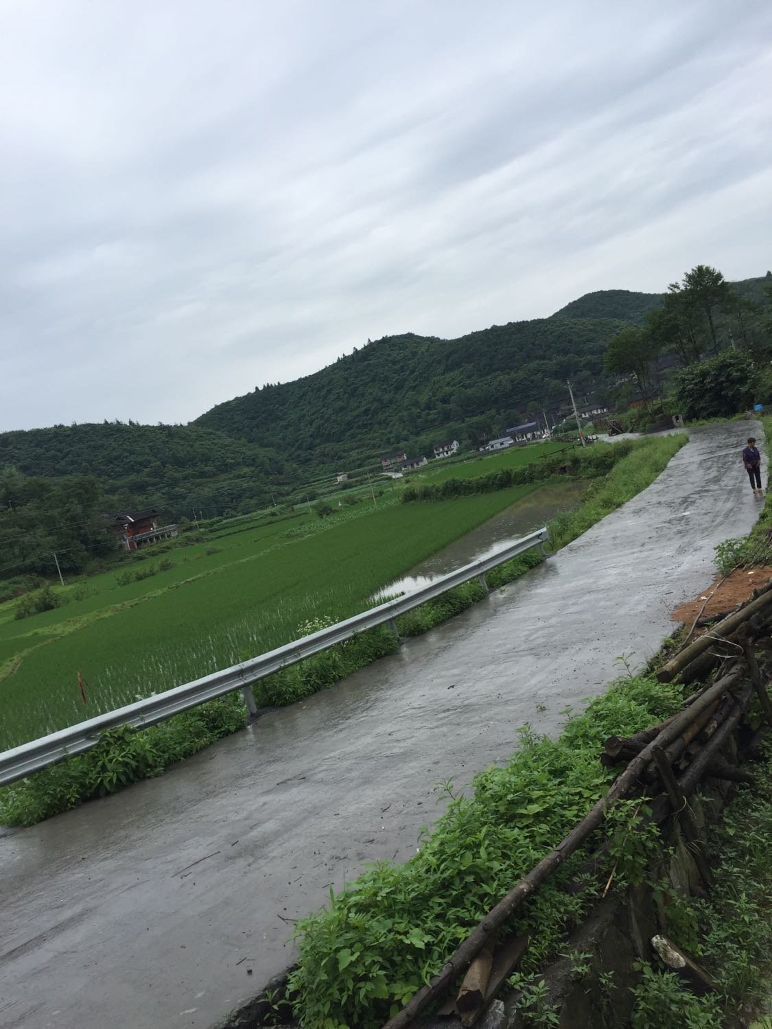 弯入达村最新天气预报