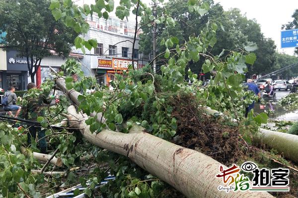 山西省长治市城区延安南路办事处最新天气预报