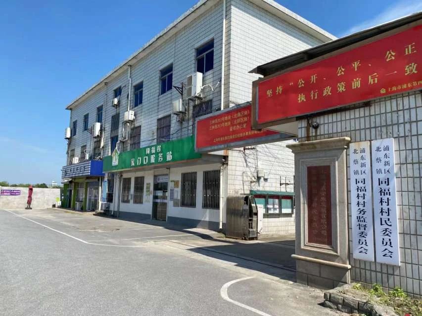 四墩村民委员会最新项目，乡村振兴典范引领之路