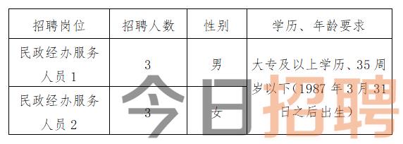 景谷傣族彝族自治县人力资源和社会保障局招聘公告概览