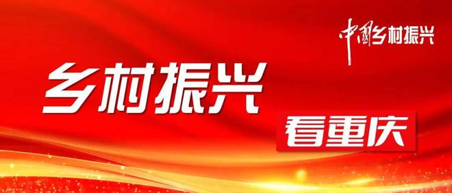 长寿区农业农村局最新领导及其领导下的农业农村发展新篇章