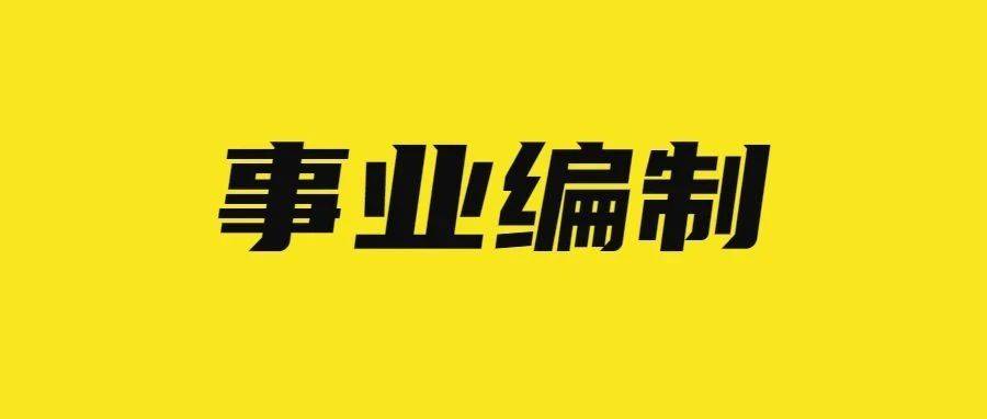 雁峰区级托养福利事业单位招聘启事概览