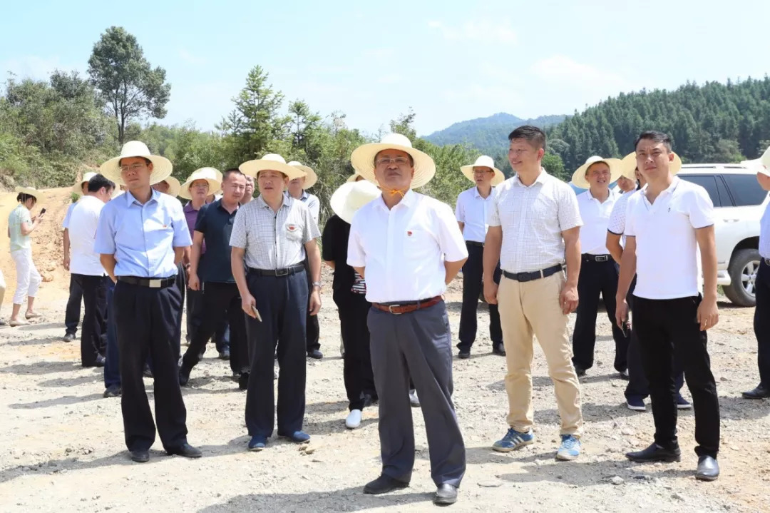 麻亚村新任领导，引领乡村发展的时代先锋