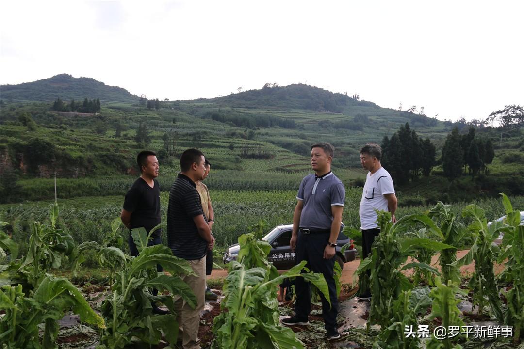 次麦居委会，社区动态与居民生活的融合最新报道