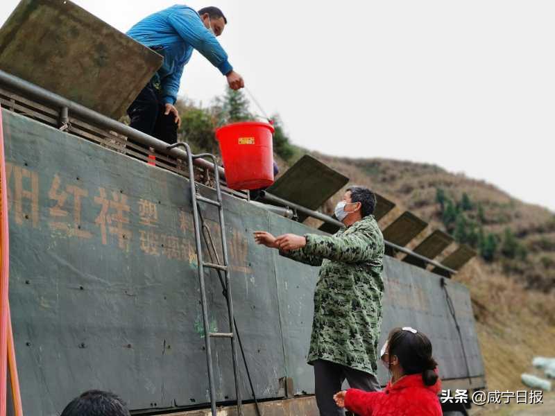 通山县公路运输管理事业单位发展规划展望