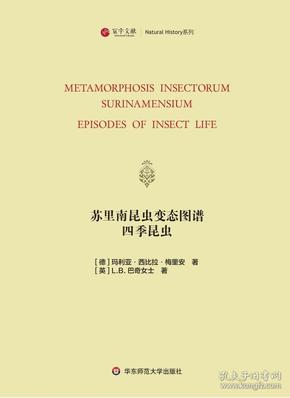 澳门江左梅郎资料论坛,精确分析解析说明_精装版91.392