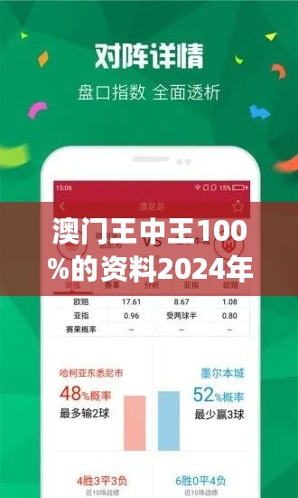 2024年新澳门王中王免费,持续计划解析_超值版89.916