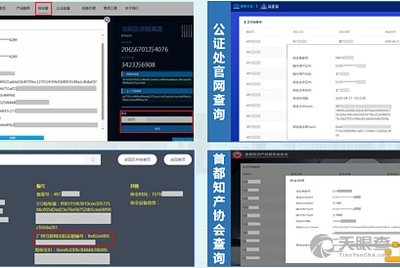 新澳最精准正最精准龙门客栈,实效设计策略_Windows42.463