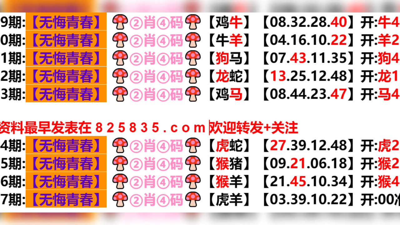 2024新奥历史开奖结果查询澳门六,效率资料解释落实_HD38.32.12