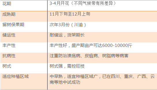 新澳天天开奖资料大全最新开奖结果查询下载,现状评估解析说明_XT72.244