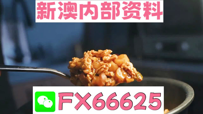 管家婆一码一肖一种大全,准确资料解释落实_入门版2.928