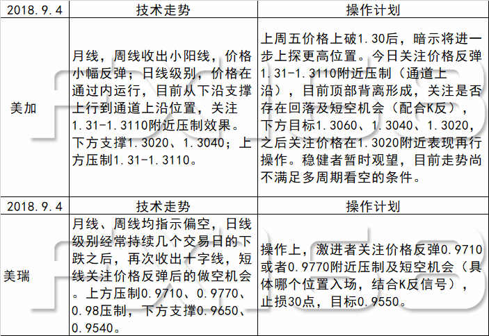 2024新澳天天正版资料大全,实地评估解析说明_DX版49.519