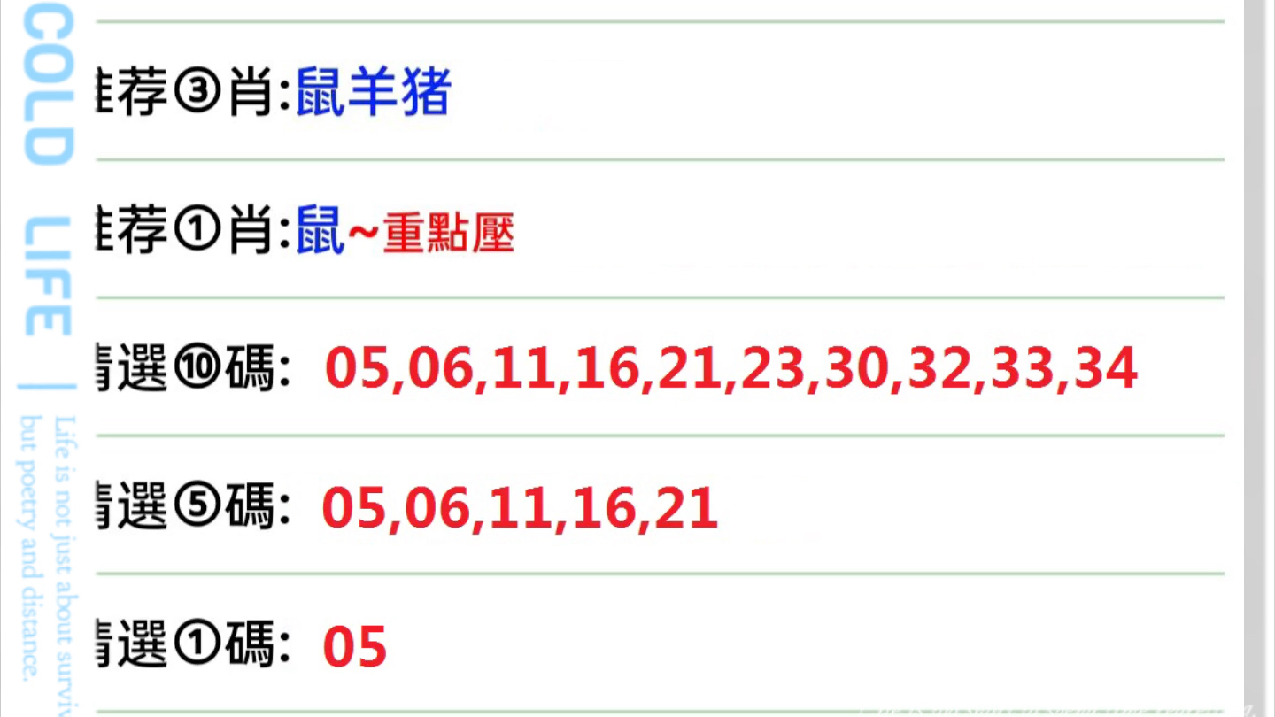 新澳门今晚开特马开奖,决策资料解释定义_FT90.246