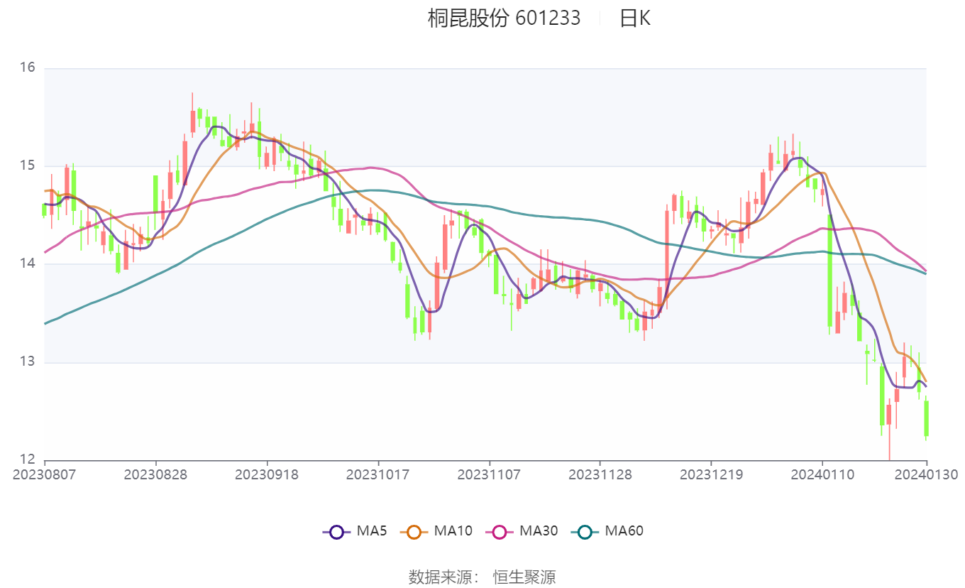 香港马会综合资料,全面理解执行计划_T99.476