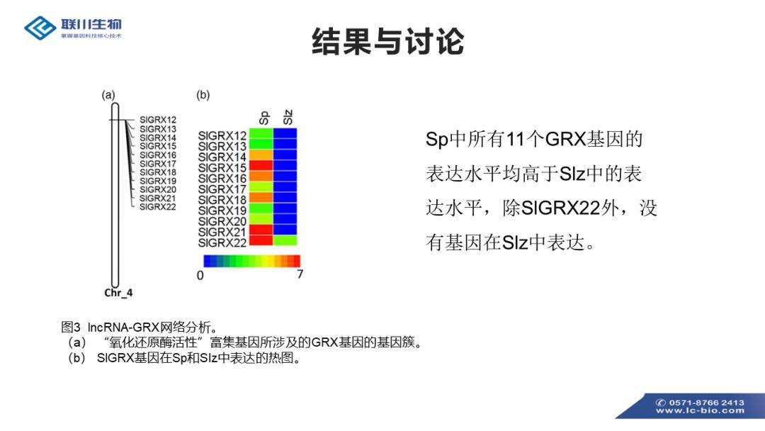 2024年香港资料免费大全,调整方案执行细节_轻量版2.282