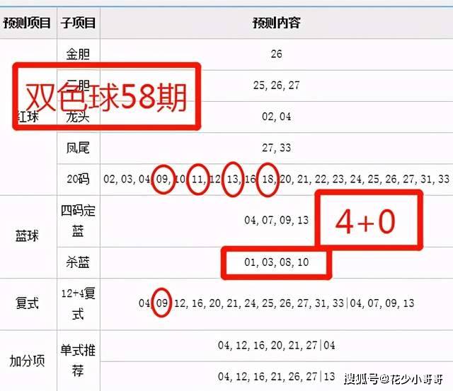 新奥2024今晚开奖结果,专家解答解释定义_C版31.585