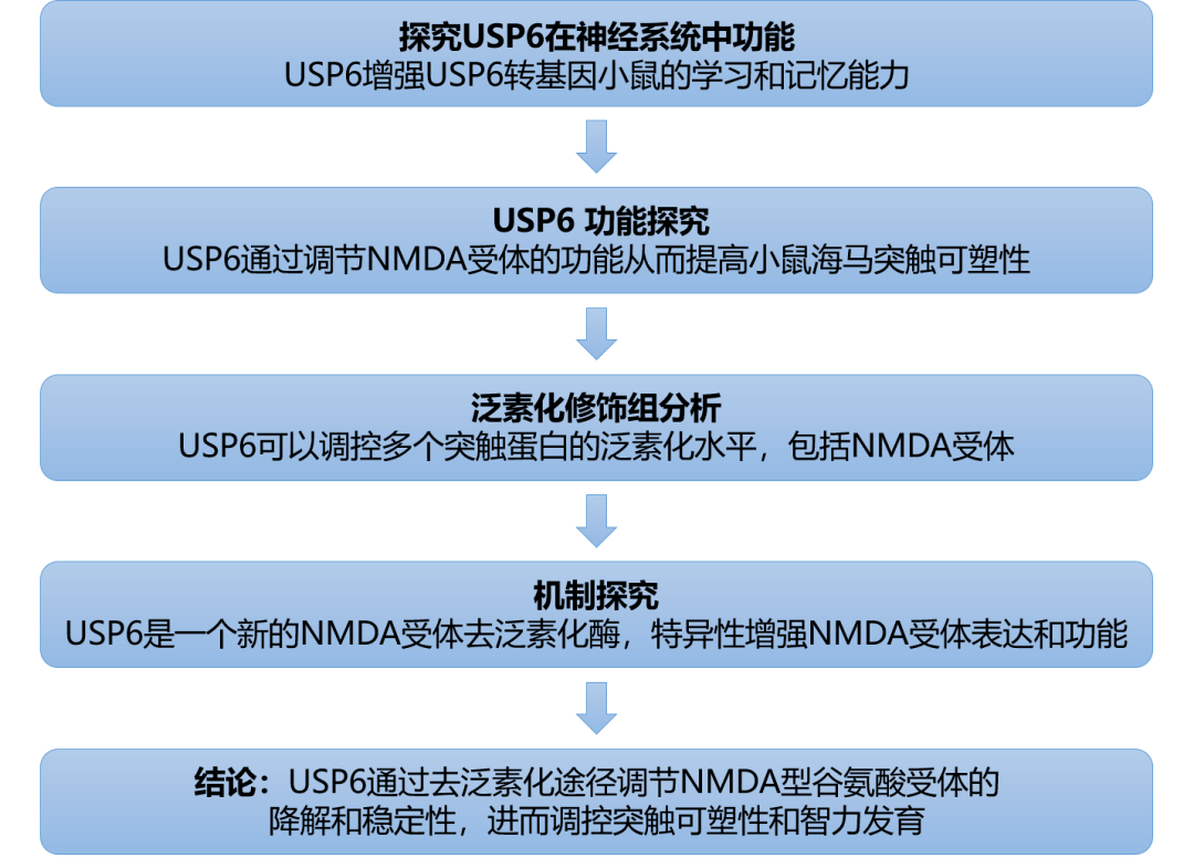 600图库澳门资料大全,资源整合策略实施_户外版41.712