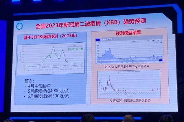 新冠病毒2024年最新消息,诠释分析定义_6DM21.995