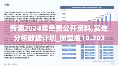 2024新澳正版免费资料,迅捷解答计划执行_M版13.82