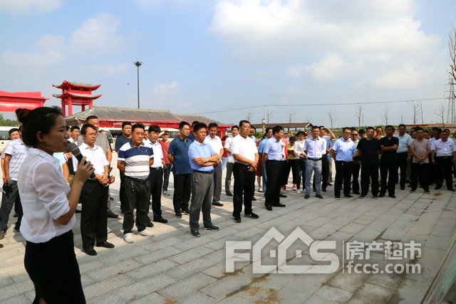 东沙河镇最新项目——地区发展璀璨明珠引领行动